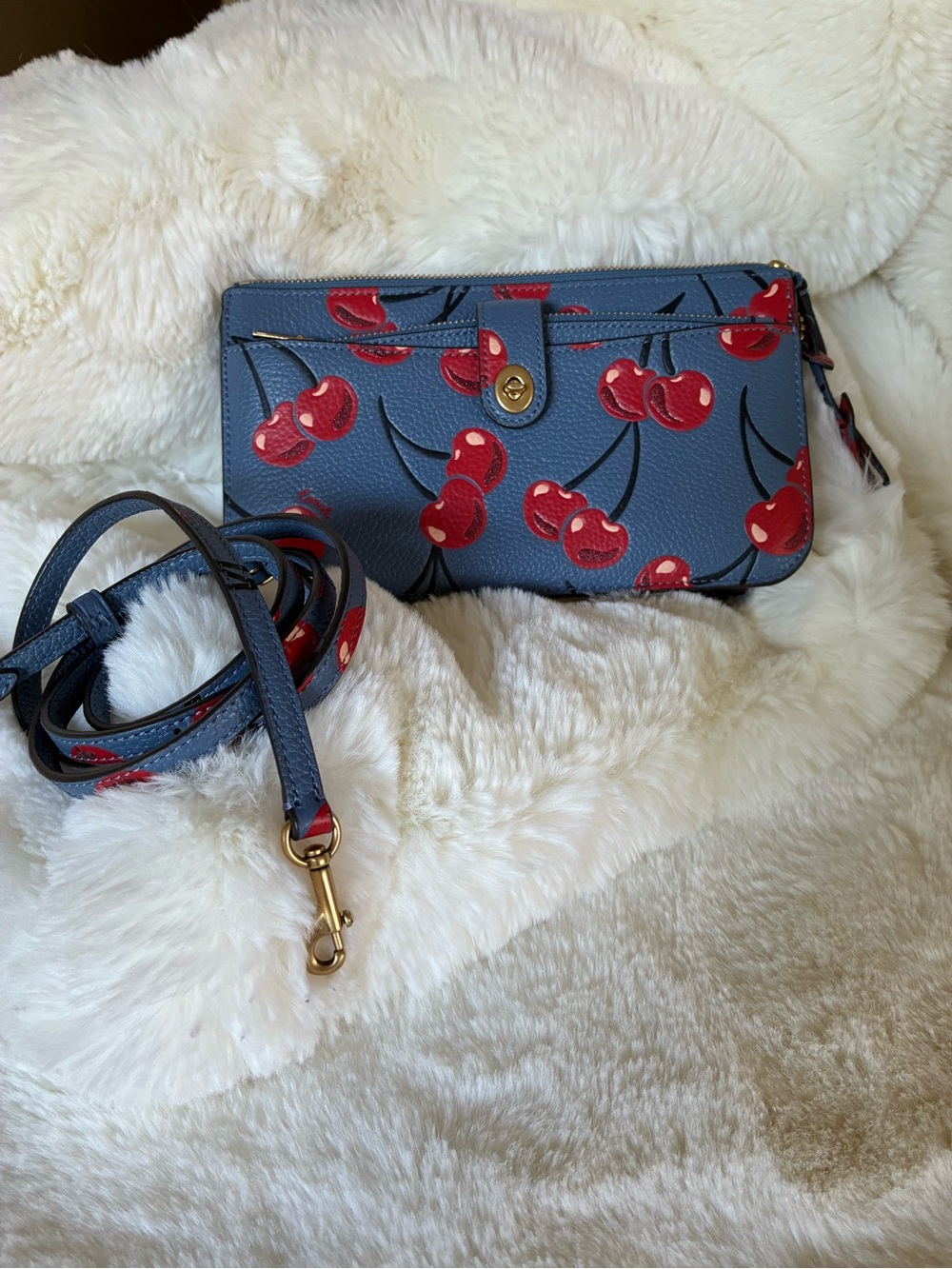 🫐🍒RARE🍒🫐AUTHENTIC COACH BLUE CHERRY BAG‼️